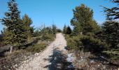 Trail Walking Caromb - Caromb Crillon le Brave 84 - Photo 7