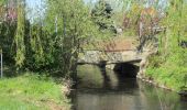 Tour Zu Fuß Wesertal - Eco-Pfad Wahlsburg - Photo 9