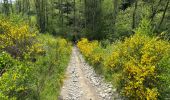 Tocht Stappen La Roche-en-Ardenne - Warempage 23 km - Photo 5