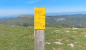 Trail Walking Bouvante - Pas de la Ferrière  - Photo 8