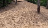 Randonnée Marche Maaseik - Gruitroderbos -  dunes - Photo 1