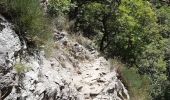 Tour Wandern Thuès-Entre-Valls - gorge de la Carança  - Photo 20