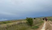 Randonnée Randonnée équestre Sos del Rey Católico - Bardenas jour 3 - Photo 1