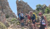 Randonnée Marche Quenza - Col de Bavella-Conca Étape GR - Photo 2