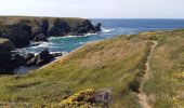 Excursión Senderismo Sauzon - pointe des poulains - Photo 9