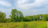 Trail Walking Durbuy - Petit-Han ... l Trail Walking Durbuy - Petit-Han ... l
