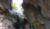 Randonnée Marche Le Revest-les-Eaux - Source et grottes de la Ripelle - Photo 12