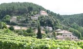 Tour Wandern Ribes - Ribes Planzolles 17km - Photo 3