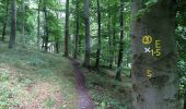 Trail On foot Bad Emstal - Rundwanderweg 