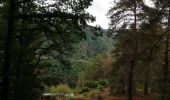 Trail Walking Soursac - Fred les roches noires - Photo 2