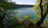 Randonnée A pied Besse-et-Saint-Anastaise - Le puy de Montchal et le Lac Pavin - Photo 9