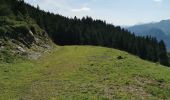 Tocht Stappen Arrens-Marsous - col de soulor, lac de soum, col de bazes, col de soulor  - Photo 1