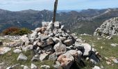 Randonnée Marche Castellane - Chasteuil - Cadières de Brandis - Photo 16