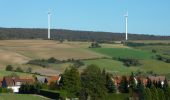 Tocht Te voet Duingen - DU 6 Töpferweg - Photo 1