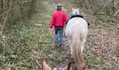 Trail Horseback riding Saint-Martin - Reprise Kaline Tivio  - Photo 9