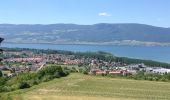 Tour Zu Fuß Rovray - Chemin du Vallon des Vaux - Photo 6