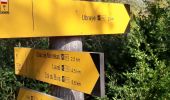 Tour Wandern Ubraye - 2022-08-10 - Trace le Touyet - Photo 1