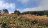 Tour Wandern Le Bessat - Croix de Chaubouret - Crêt de Botte - Col de l'Oeuillon  - Photo 20