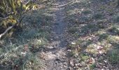 Trail Walking Mercurey - Mercurey Aluze Mercurey  - Photo 3
