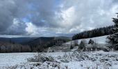 Trail Walking Cornimont - Col du Brabant - croix Louis par Mansuy et Boulaite - Photo 14