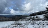 Tour Wandern Cornimont - Col du Brabant - croix Louis par Mansuy et Boulaite - Photo 14