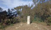 Excursión Senderismo Six-Fours-les-Plages - Aire des masques faite le 7 février  - Photo 1