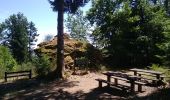 Trail Walking Sentheim - Buchberg - Rocher du Poilu  - Photo 5