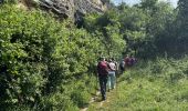 Excursión Senderismo Buoux - PF-Buoux - L'Aigue Brun au départ des Seguins - la Baume de l'Eau - 05.06.2025 - Photo 10