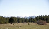 Randonnée Marche Aurel - Le Plateau de Solaure par Aurel - Photo 4