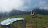 Randonnée Marche La Roche-sur-Foron - GLIERES / BORNES: LE CHESNET - SUR COU - COL DU FREU - Photo 3