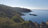 Tour Wandern Ramatuelle - Cap Taillat - Photo 4