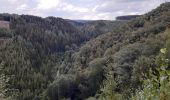 Tocht Stappen Waimes - robertville . barrage . nez de napoléon.  reinhardstein . barrage . pont . robertville - Photo 14