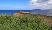 Tour Wandern Perros-Guirec - ploumanach - Photo 6