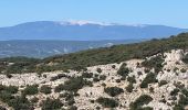 Excursión Ruta Cheval-Blanc - Vidauque-Bedoin-Sapine-Aiguille-24092023 - Photo 1