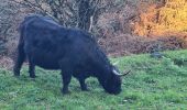 Tour Wandern Veix - Tour du Puy d'Orliac - Photo 4