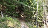 Trail Walking La Léchère - la grande forêt-17-07-22 - Photo 2