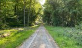 Trail Walking Fleury - en Forêt de Retz_92_05_2022_Rond d'Orléans_Chapeau des Cordeliers_la Laie des étangs de Longpont - Photo 7