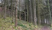 Excursión Senderismo Couvin - Brûlures de peches  - Photo 2