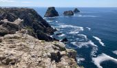 Tocht Stappen Camaret-sur-Mer - Camaret - Photo 11