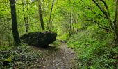 Trail Walking Bièvre - Promenade de la Roche Mouselle - Petit-Fays - Photo 7