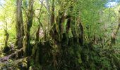 Tour Wandern Villard-Saint-Sauveur - cascade de flumen - saut du chien - retour en partie par la route  - Photo 8