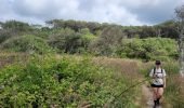 Excursión Senderismo Moliets-et-Maâ - balade dans les pins avec vue sur dune - Photo 6