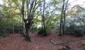 Tocht Te voet Oudsbergen - Bosbeekvallei Rode vierkant - Photo 1
