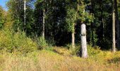 Randonnée Marche Dampleux - en forêt de Retz_82_sur les Routes de la Bruyère aux Loups et de la Chrétiennette - Photo 13