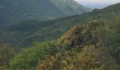 Randonnée Marche Sainte-Agnès - Mont Ours - Photo 6