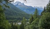 Randonnée Marche Chamonix-Mont-Blanc - J11 - R9 - Montroc - Le Tour - Petit Balcon Nord  - Photo 9