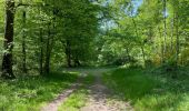 Tour Wandern Compiègne - en Forêt de Compiègne_50_les Routes des Beaux Monts, de Morpigny et des Nymphes - Photo 1
