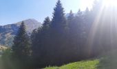 Tour Wandern Manigod - ARAVIS: POINTE D'ORSIERE - Photo 4