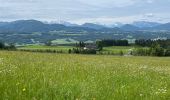 Tocht Stappen Thalgau - De Wasenmoos à la Chapelle du Kolomansberg - Photo 17