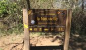 Trail Walking La Possession - La Nouvelle  - Photo 12